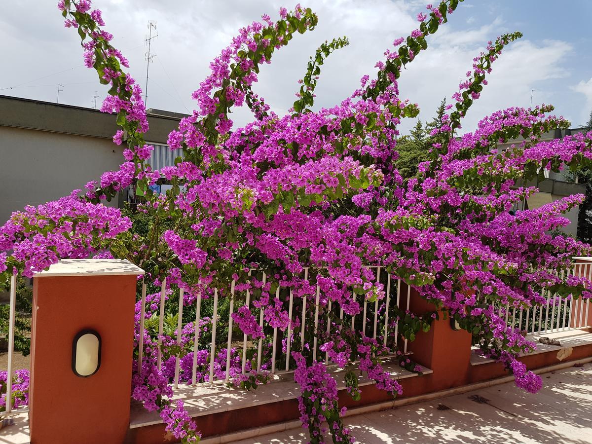 Bed and Breakfast Dimora D'Amato Grumo Appula Exterior foto